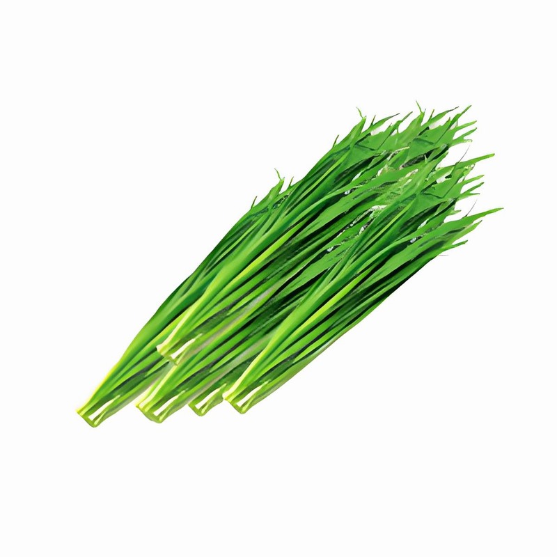 蔬菜配送公司批发-首宏蔬菜配送公司