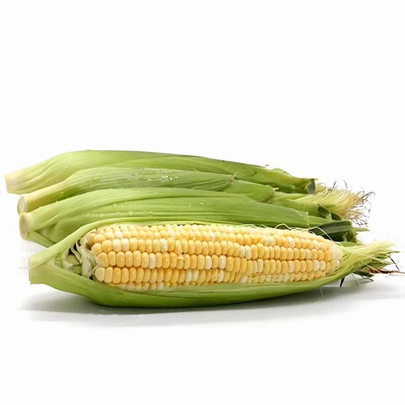 甜玉米棒